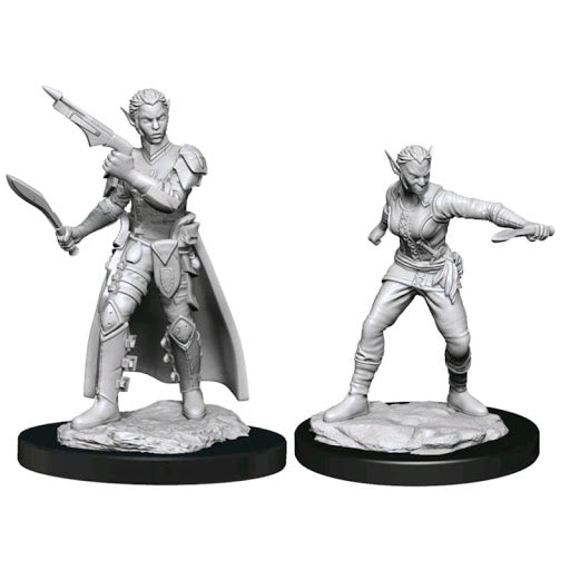 Shifter Rogue