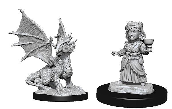 Silver Dragon Wyrmling & Halfling Dragon Friend
