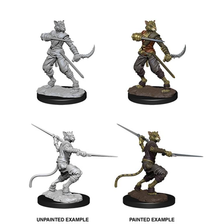 Tabaxi Rogue