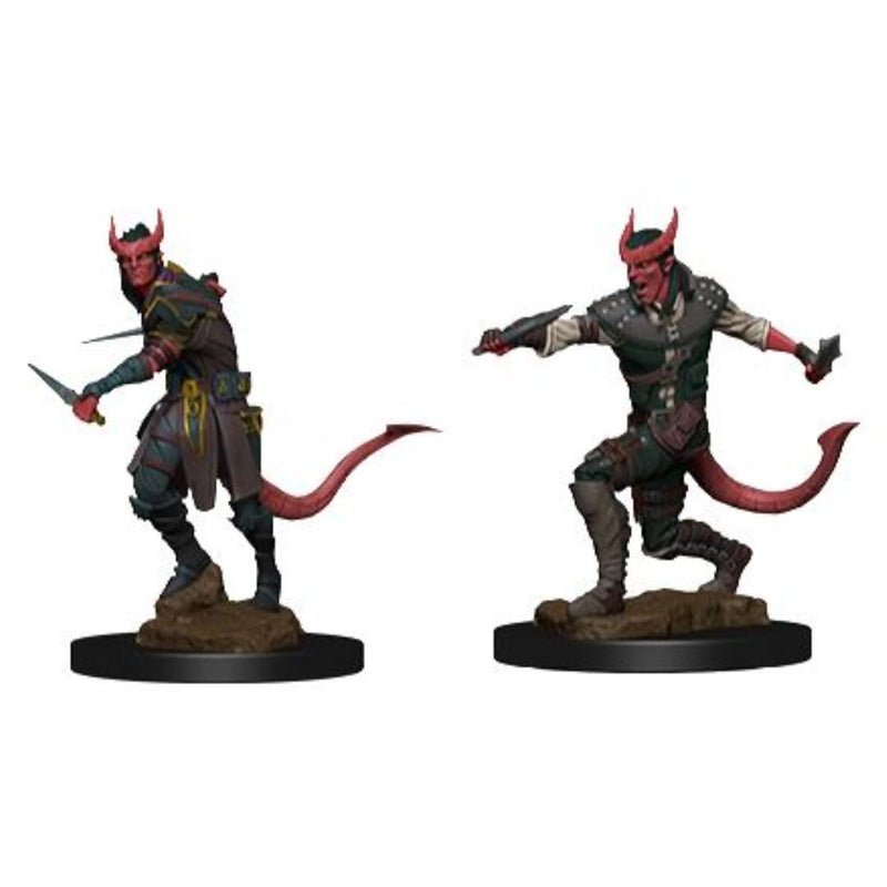 Male Tiefling Rogue