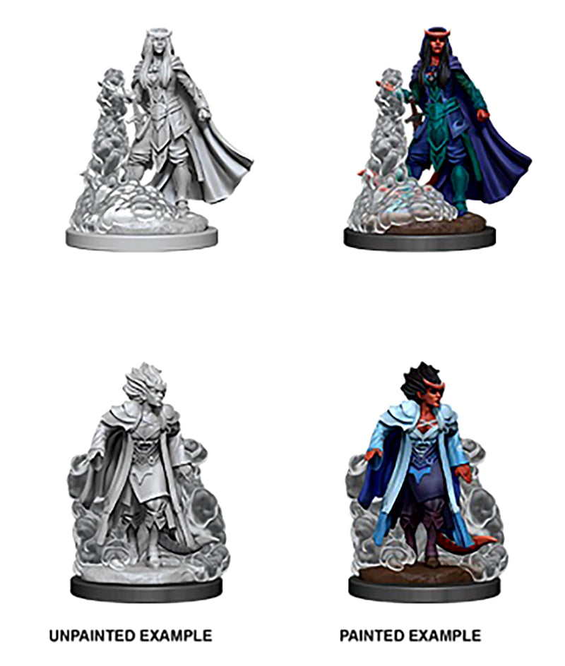 Male Tiefling Sorcerer