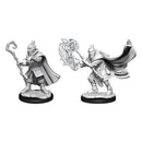 Hobgoblin Wizard and Druid