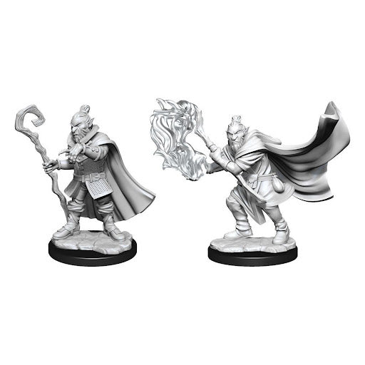 Hobgoblin Wizard and Druid