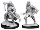 Warforged Rogue