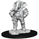 Quintorius, Field Historian Miniature